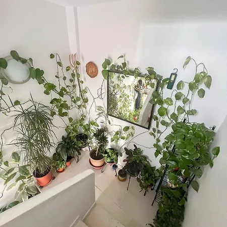 Apartament Central Casa Jose 1