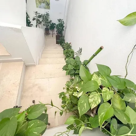 Central Casa Jose 1